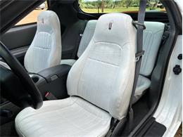1997 Chevrolet Camaro (CC-2114784) for sale in Fredericksburg, Texas