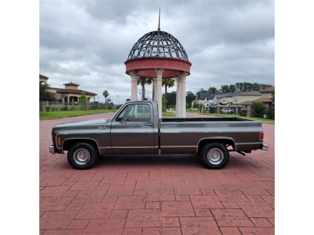 1979 GMC Sierra (CC-2114787) for sale in Cadillac, Michigan