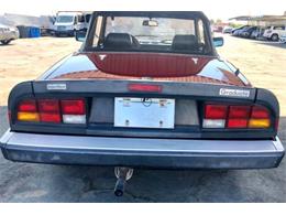 1988 Alfa Romeo Spider (CC-2110479) for sale in Cadillac, Michigan