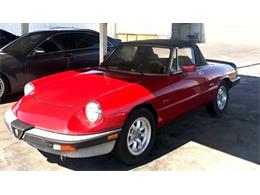 1988 Alfa Romeo Spider (CC-2110479) for sale in Cadillac, Michigan