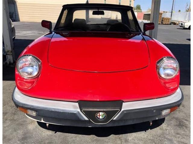 1988 Alfa Romeo Spider (CC-2110479) for sale in Cadillac, Michigan