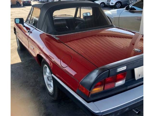 1988 Alfa Romeo Spider (CC-2110479) for sale in Cadillac, Michigan