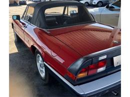 1988 Alfa Romeo Spider (CC-2110479) for sale in Cadillac, Michigan
