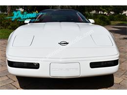 1993 Chevrolet Corvette (CC-2114793) for sale in Lakeland, Florida