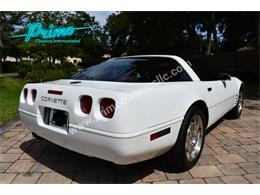 1993 Chevrolet Corvette (CC-2114793) for sale in Lakeland, Florida