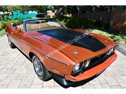 1973 Ford Mustang (CC-2114795) for sale in Lakeland, Florida