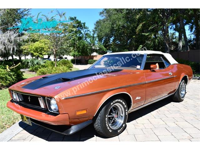 1973 Ford Mustang (CC-2114795) for sale in Lakeland, Florida