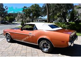 1973 Ford Mustang (CC-2114795) for sale in Lakeland, Florida