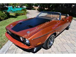 1973 Ford Mustang (CC-2114795) for sale in Lakeland, Florida