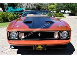 1973 Ford Mustang (CC-2114795) for sale in Lakeland, Florida
