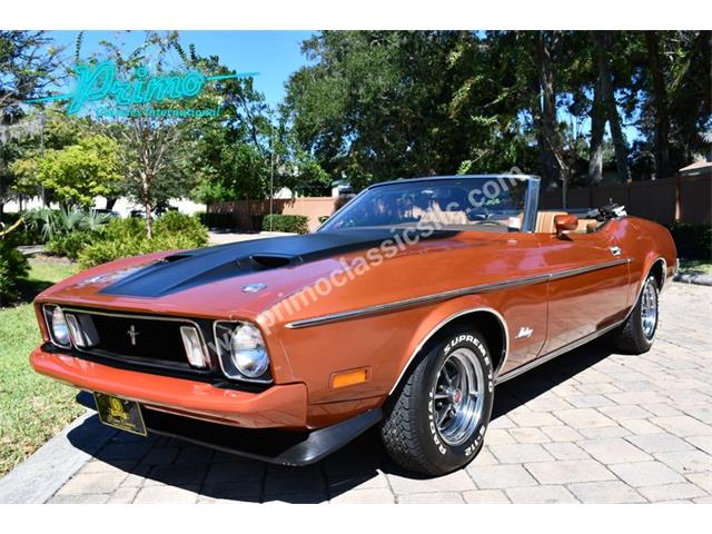 1973 Ford Mustang (CC-2114795) for sale in Lakeland, Florida