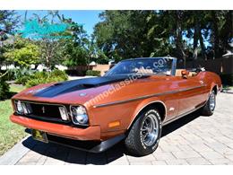 1973 Ford Mustang (CC-2114795) for sale in Lakeland, Florida