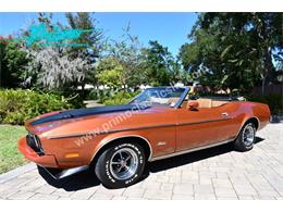 1973 Ford Mustang (CC-2114795) for sale in Lakeland, Florida