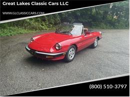 1986 Alfa Romeo Spider (CC-2114798) for sale in Hilton, New York