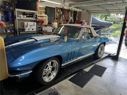 1966 Chevrolet Corvette Stingray (CC-2114865) for sale in Eustis, Florida