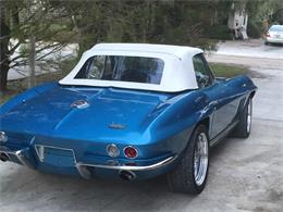 1966 Chevrolet Corvette Stingray (CC-2114865) for sale in Eustis, Florida