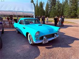 1955 Ford Thunderbird E-Code Convertible (CC-2114868) for sale in Condon, Montana