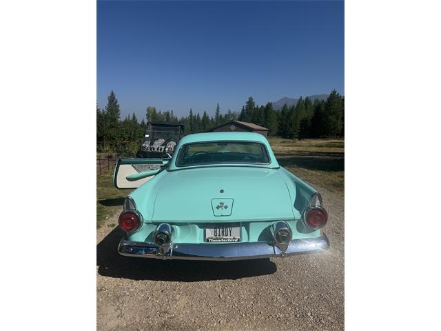 1955 Ford Thunderbird E-Code Convertible (CC-2114868) for sale in Condon, Montana