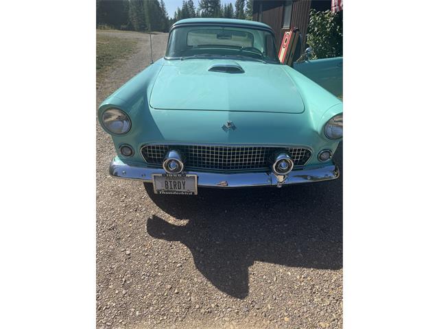 1955 Ford Thunderbird E-Code Convertible (CC-2114868) for sale in Condon, Montana