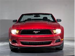2010 Ford Mustang (CC-2114907) for sale in Depew, New York