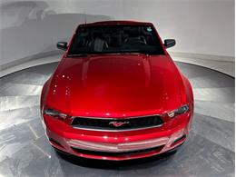 2010 Ford Mustang (CC-2114907) for sale in Depew, New York