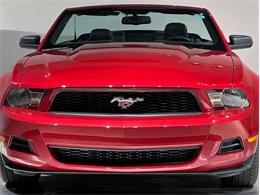 2010 Ford Mustang (CC-2114907) for sale in Depew, New York