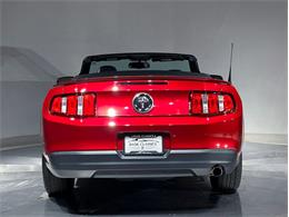 2010 Ford Mustang (CC-2114907) for sale in Depew, New York
