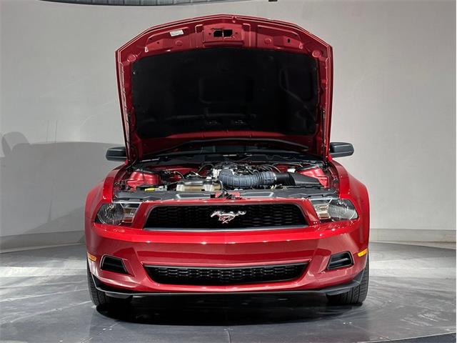 2010 Ford Mustang (CC-2114907) for sale in Depew, New York