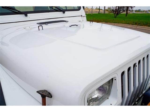 1992 Jeep Wrangler (CC-2114927) for sale in Ramsey, Minnesota