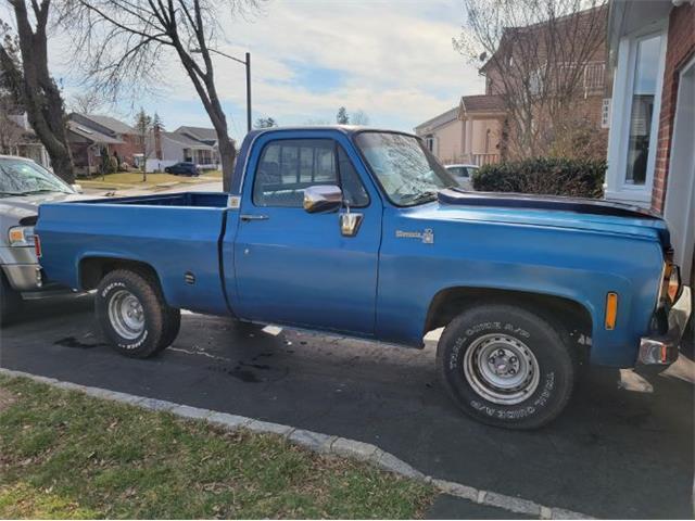 1977 Chevrolet C10 (CC-2110496) for sale in Cadillac, Michigan