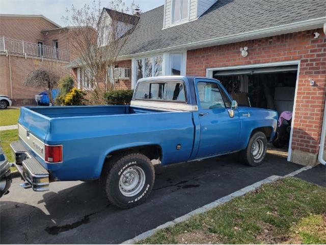 1977 Chevrolet C10 (CC-2110496) for sale in Cadillac, Michigan