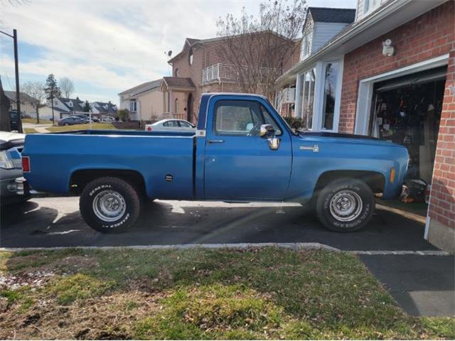 1977 Chevrolet C10 (CC-2110496) for sale in Cadillac, Michigan