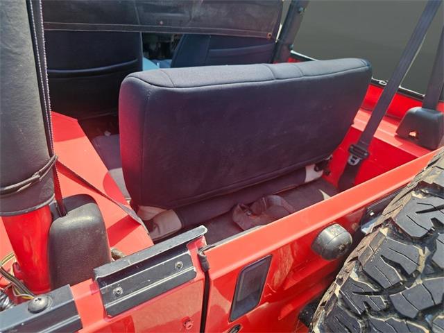 1995 Jeep Wrangler (CC-2114963) for sale in Nashville, Illinois