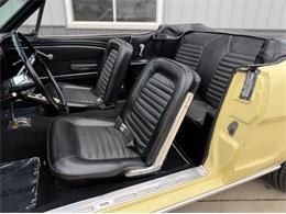 1966 Ford Mustang (CC-2114972) for sale in Greene, Iowa