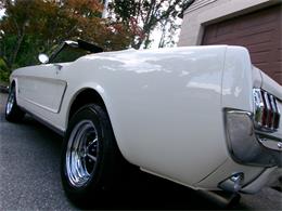 1965 Ford Mustang (CC-2115011) for sale in Palmer, Massachusetts