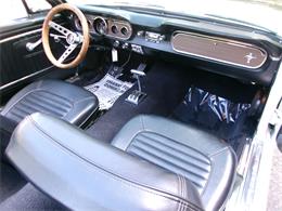 1965 Ford Mustang (CC-2115011) for sale in Palmer, Massachusetts