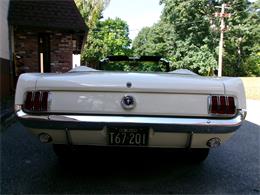 1965 Ford Mustang (CC-2115011) for sale in Palmer, Massachusetts