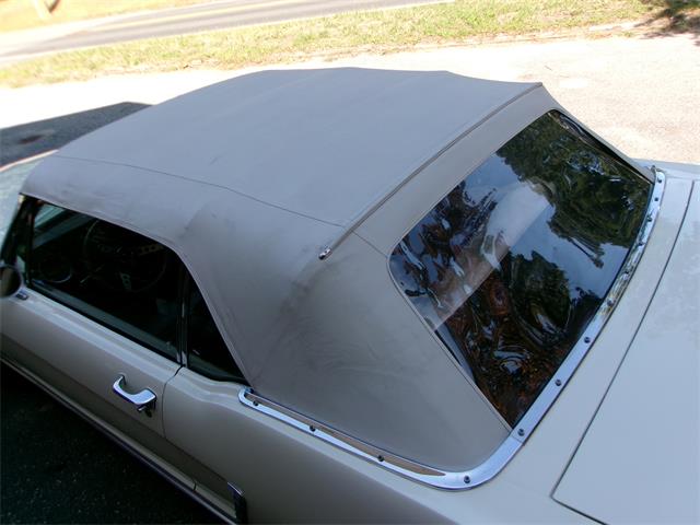 1965 Ford Mustang (CC-2115011) for sale in Palmer, Massachusetts