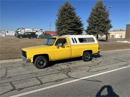 1981 Chevrolet Silverado (CC-2110502) for sale in Cadillac, Michigan