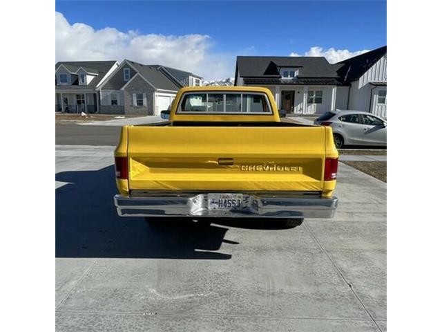 1981 Chevrolet Silverado (CC-2110502) for sale in Cadillac, Michigan