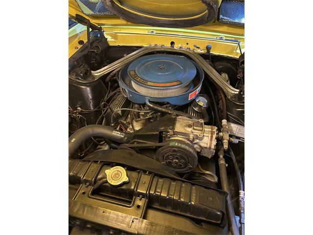 1969 Shelby GT350 (CC-2115035) for sale in Toronto, Ontario