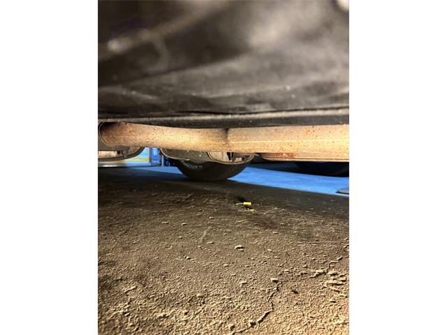 1969 Shelby GT350 (CC-2115035) for sale in Toronto, Ontario