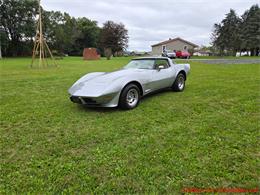 1979 Chevrolet Corvette (CC-2115041) for sale in MARTINSBURG, Pennsylvania