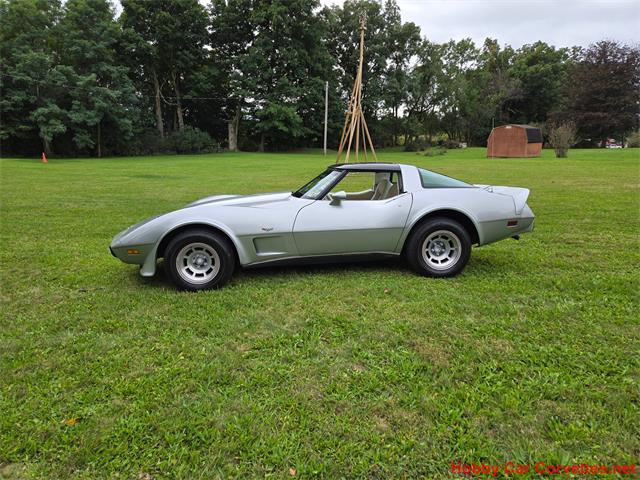 1979 Chevrolet Corvette (CC-2115041) for sale in MARTINSBURG, Pennsylvania