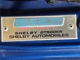 2009 Ford Shelby GT500  (CC-2115103) for sale in Bradenton, Florida