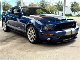 2009 Ford Shelby GT500  (CC-2115103) for sale in Bradenton, Florida