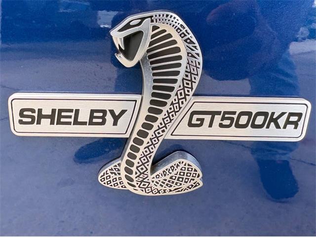 2009 Ford Shelby GT500  (CC-2115103) for sale in Bradenton, Florida