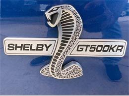 2009 Ford Shelby GT500  (CC-2115103) for sale in Bradenton, Florida