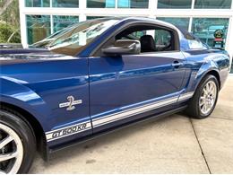 2009 Ford Shelby GT500  (CC-2115103) for sale in Bradenton, Florida