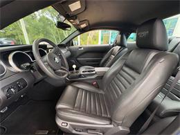 2009 Ford Shelby GT500  (CC-2115103) for sale in Bradenton, Florida